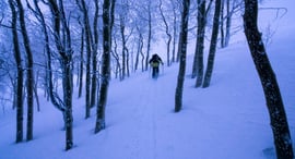 Winter Snowshoe and Adventure Photography in Vail