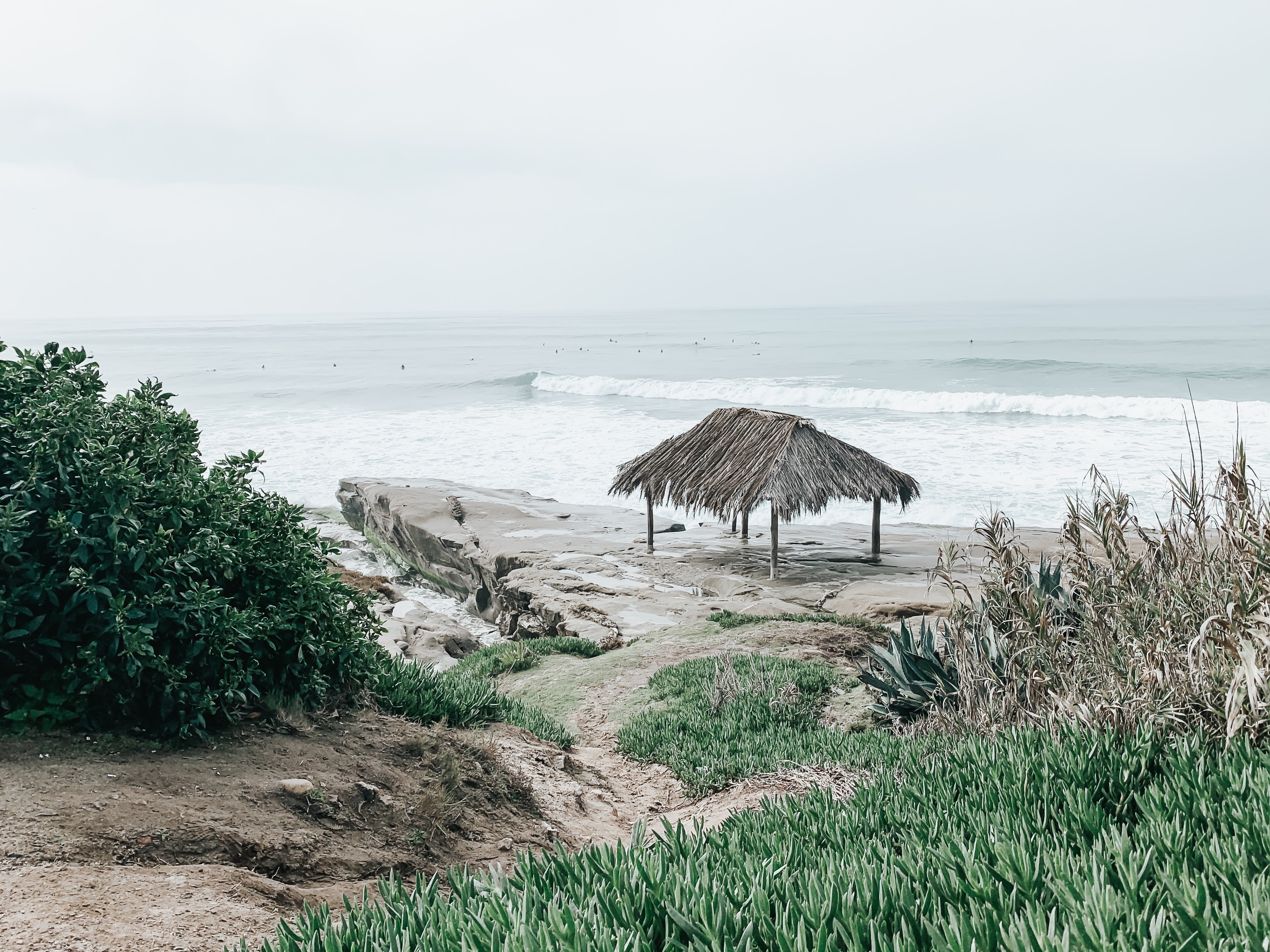 The Best Places to Surf In San Diego