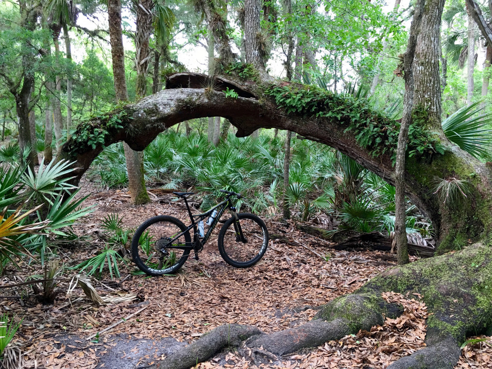 Evening Ride at Snowhill MTB Trails Adventure IO