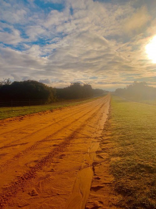 Clay Road Adventure Run in Central Florida with a Guide Adventure IO