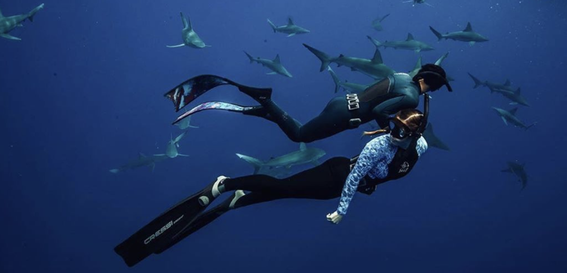 Adventures with One Ocean Diving